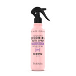 Спрей для фіксації волосся матовий "Immortal NYC Grooming Spray" 250ml